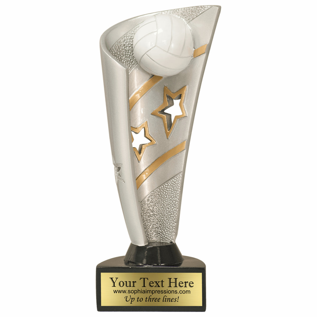 Banner Volleyball Trophy
