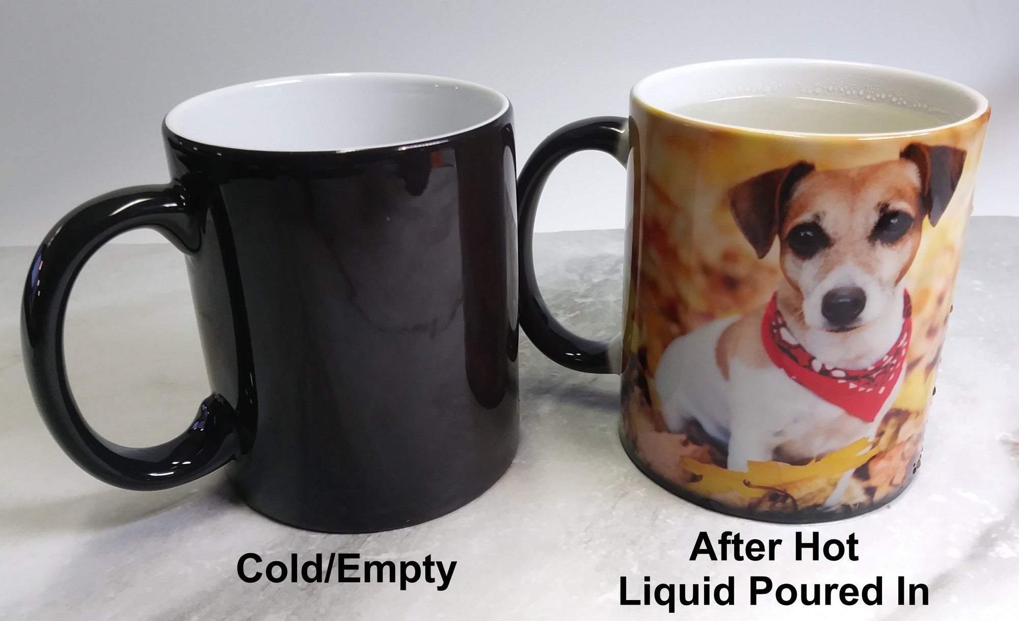 Color Changing Mug with Your Photo or Logo - SophiaImpressions