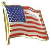 US Flag Pin - SophiaImpressions